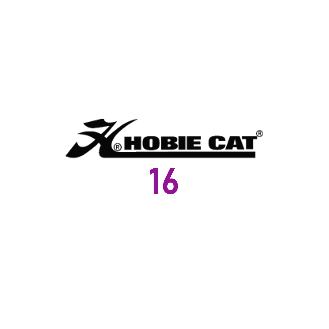 Compatible Hobie Cat 16 Easy
