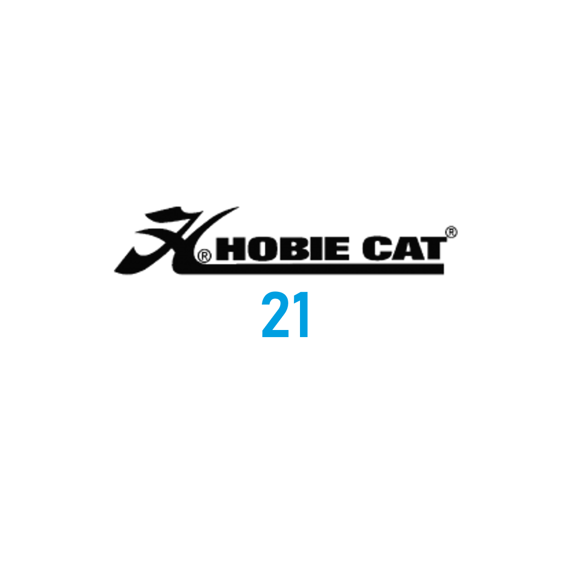 Hobie Cat 21